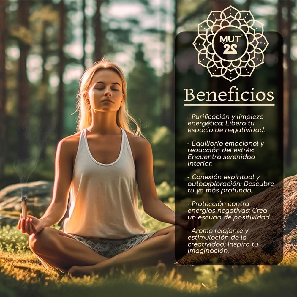 3 Sauge Blanche et 3 Palo Santo Sacrés à Brûler - Herbes de Purification et d'Harmonie pour Spirituelle et Les Rituels Énergétiques