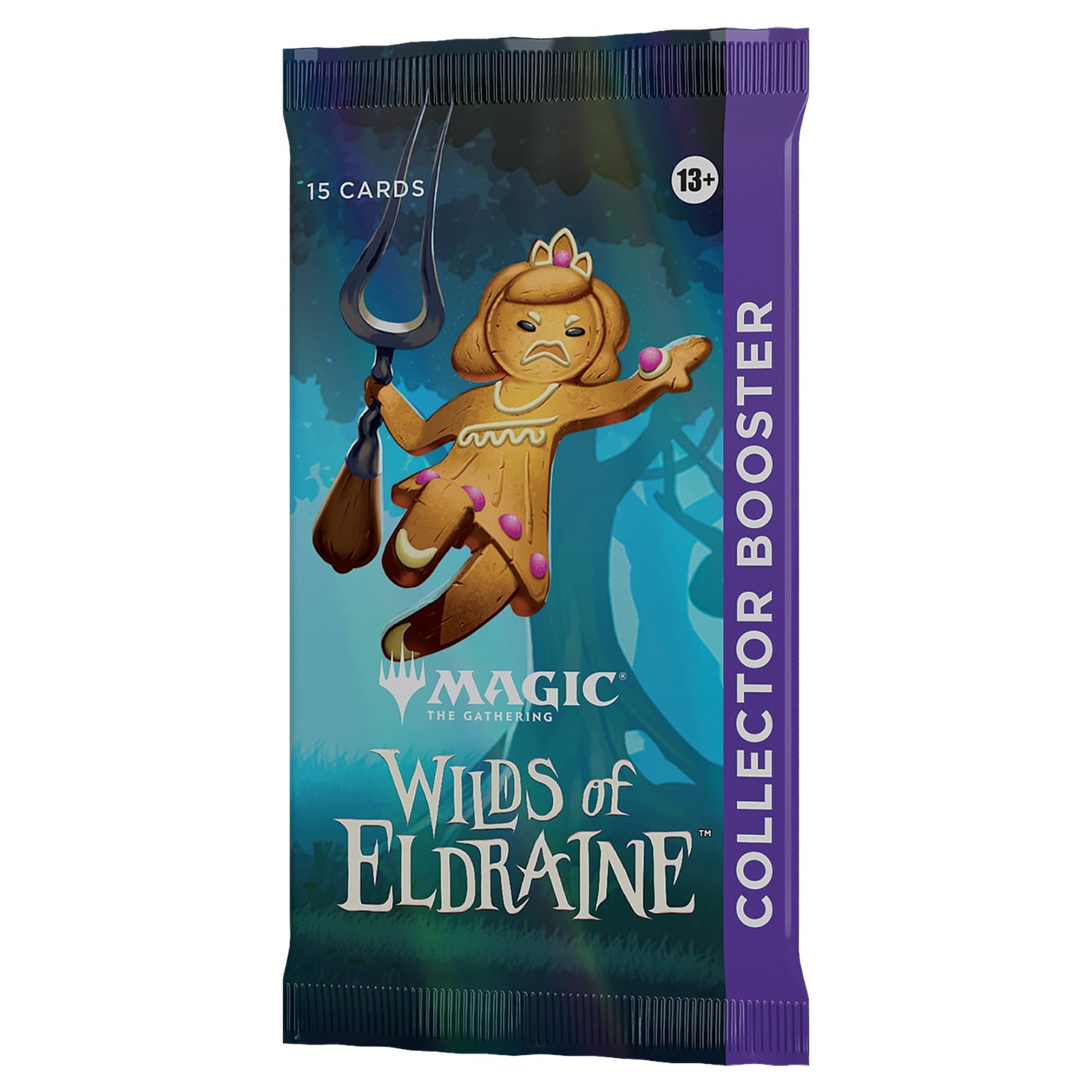 Kit de démarrage Magic: The Gathering 2023 - Apprenez à jouer avec 2 decks prêts-à-jouer + 2 codes pour jouer en ligne (jeu de cartes fantastique pour 2 joueurs) (Version Française)