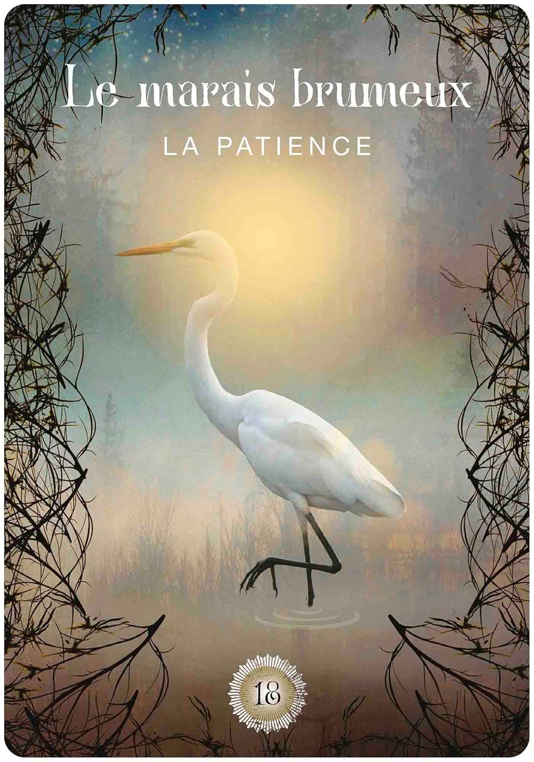 L'Oracle de la forêt sacrée: 52 cartes pour ouvrir les portails énergétiques des mondes subtils