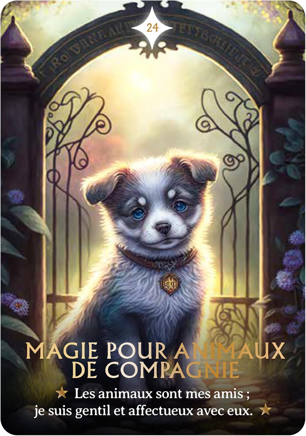 Coffret l'oracle des souhaits