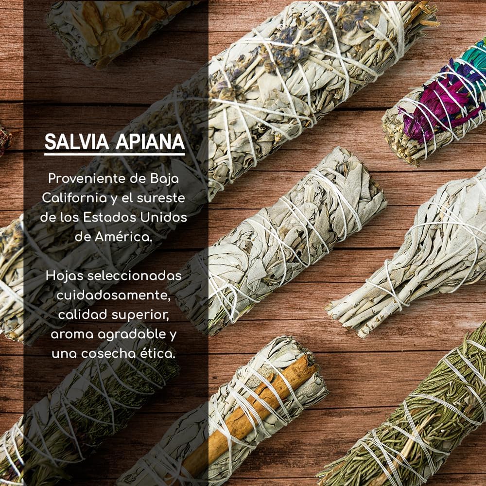 3 Sauge Blanche et 3 Palo Santo Sacrés à Brûler - Herbes de Purification et d'Harmonie pour Spirituelle et Les Rituels Énergétiques